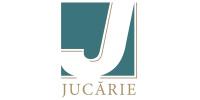 Jucărie SRL