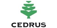 Cedrus