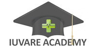 Iuvare Academy