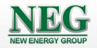 NEW ENERGY GROUP